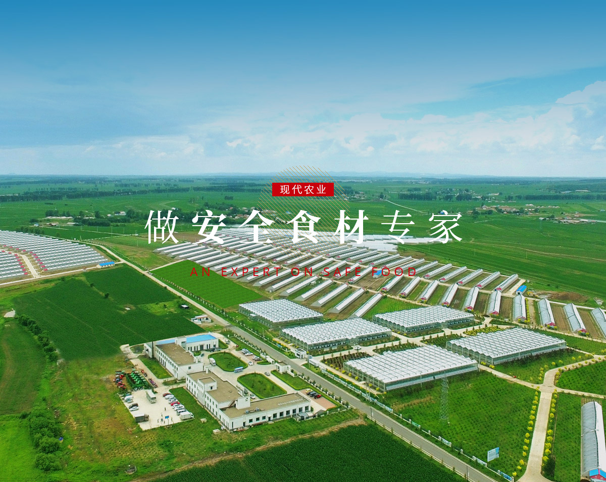 banner5_p9615812 K8·凯发(中国)天生赢家·一触即发